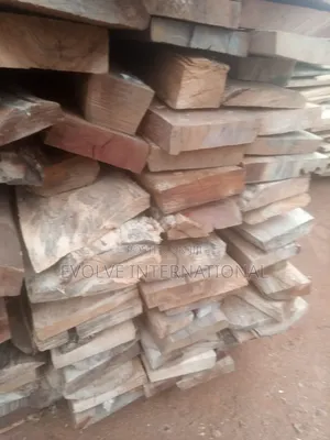 Strong Efficient Woods