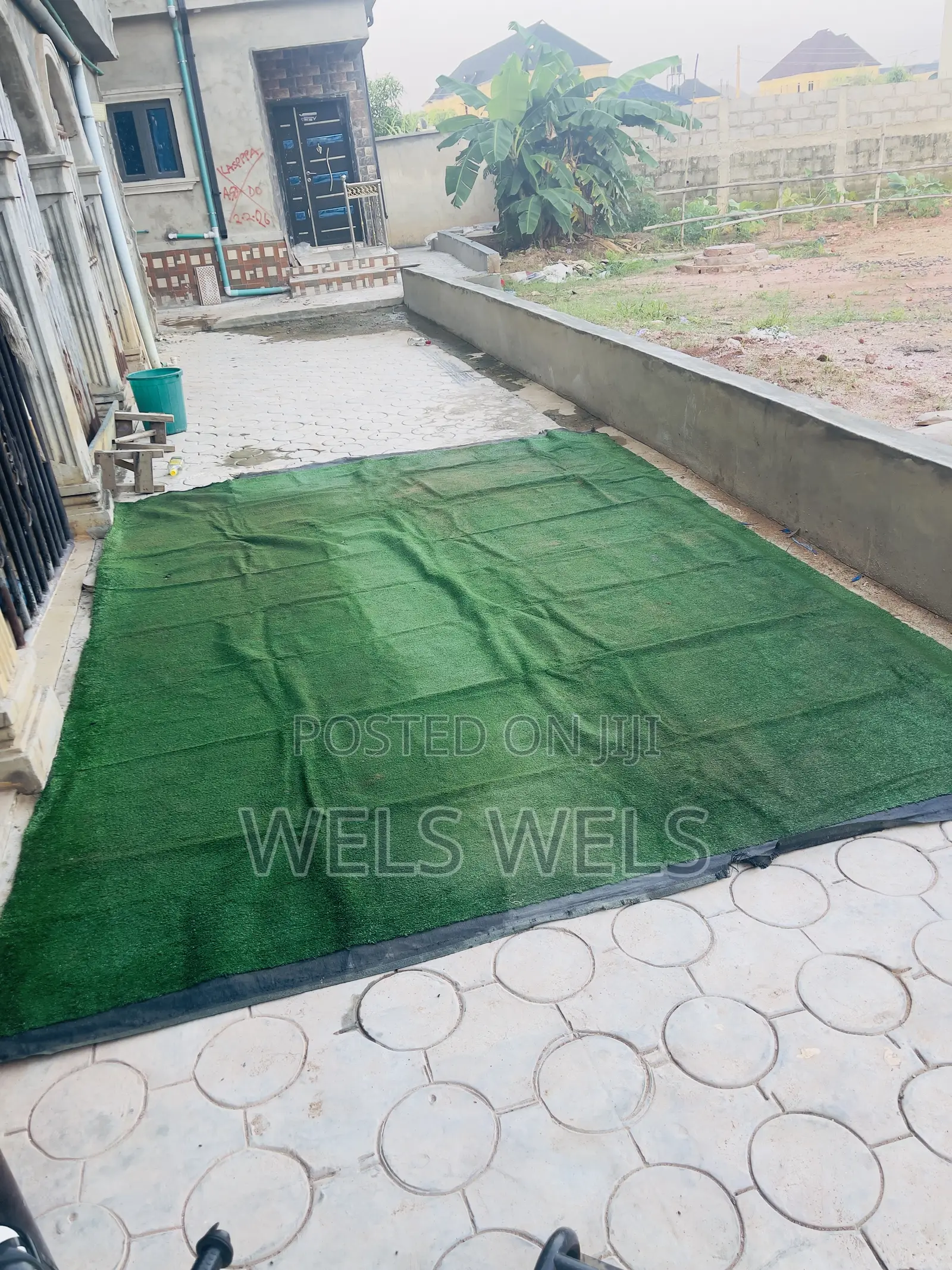 Carpet Grass for Sale