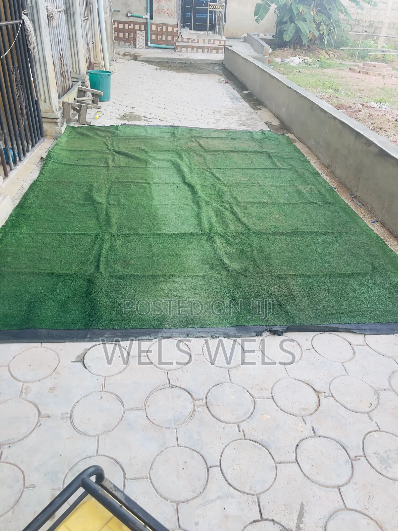Carpet Grass for Sale