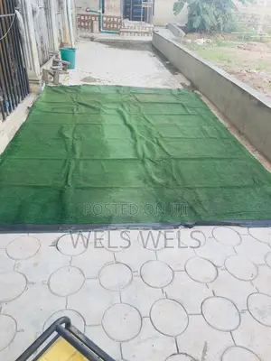 Carpet Grass for Sale