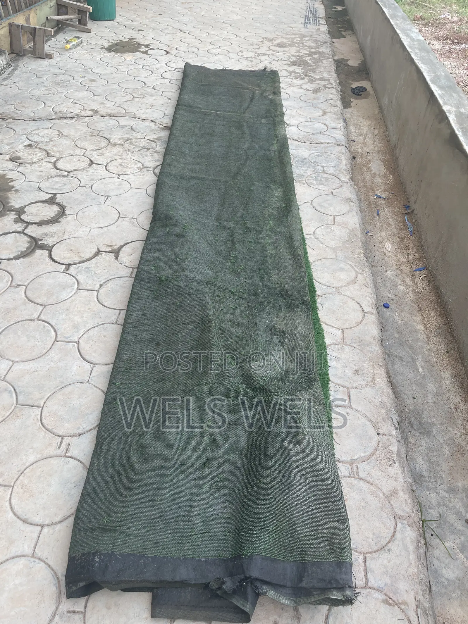 Carpet Grass for Sale