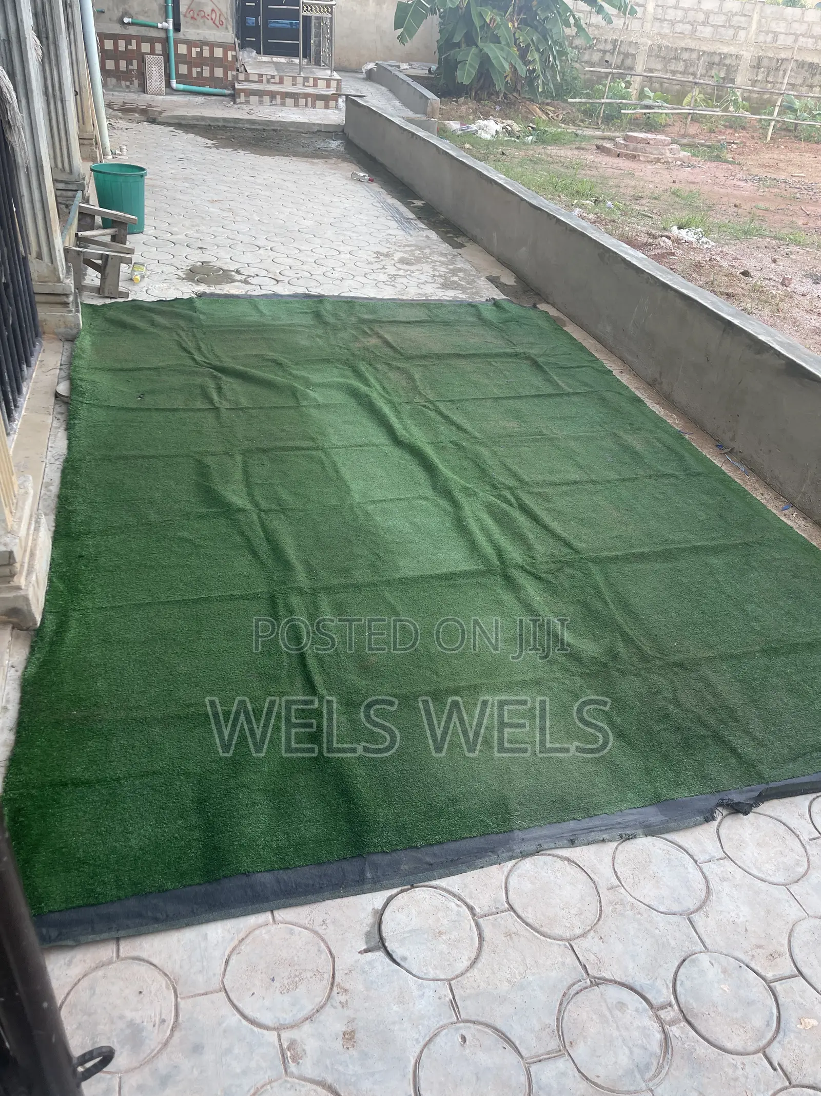 Carpet Grass for Sale
