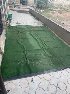 Carpet Grass for Sale