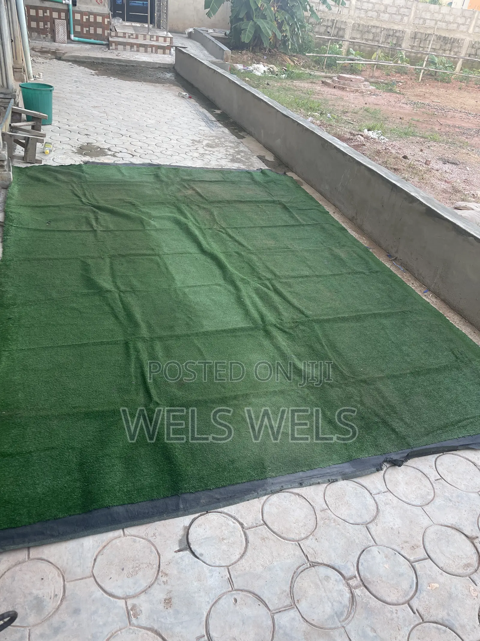 Carpet Grass for Sale