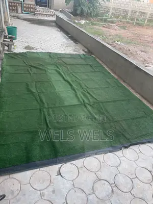 Carpet Grass for Sale