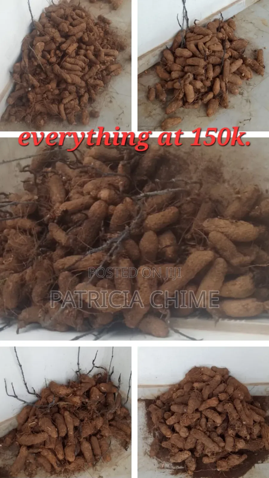 Yams (Wholesale at Once)