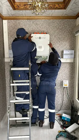 Deye Inverter Installations Professional