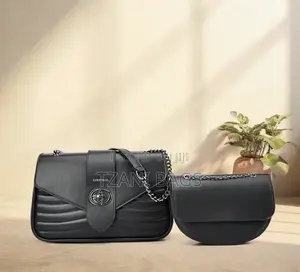 2 in 1 Handbag