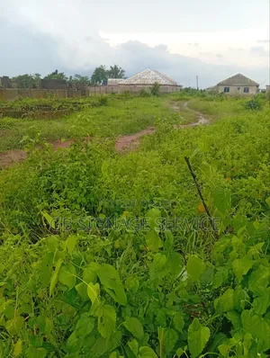 A Plots of Dry Land for Sale