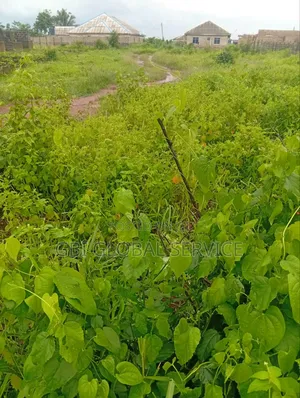 Plot of Dry Land and Acres