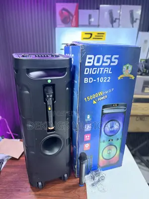 Party Box Speaker With Wireless Mic