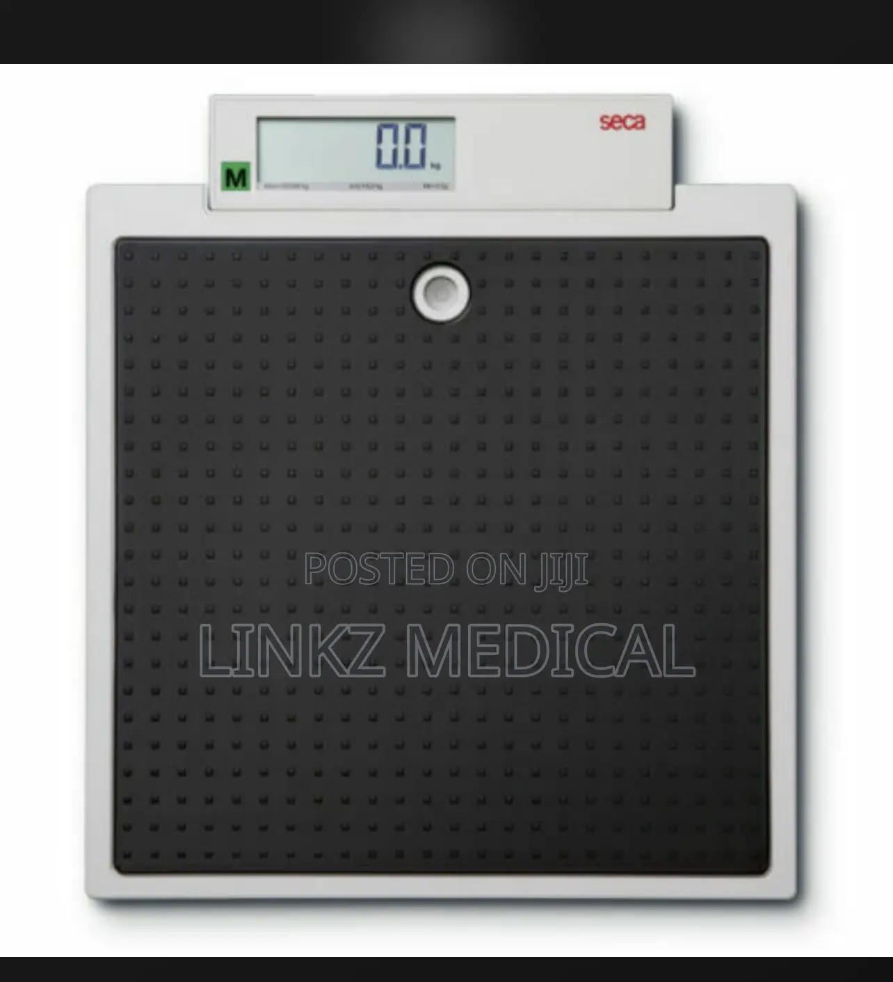 Seca Scale