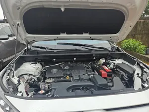 Toyota RAV4 LE 2025 White
