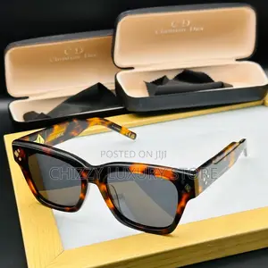 Christian Dior Quality Luxury Men Sunglasses