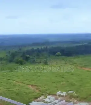 Land For Sale In Edo