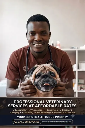 Veterinary Doctor Near Me