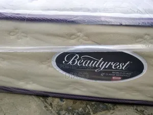 Order for Your Affordable Canadian 5x6 10inches Mattres Get 1 Pillow