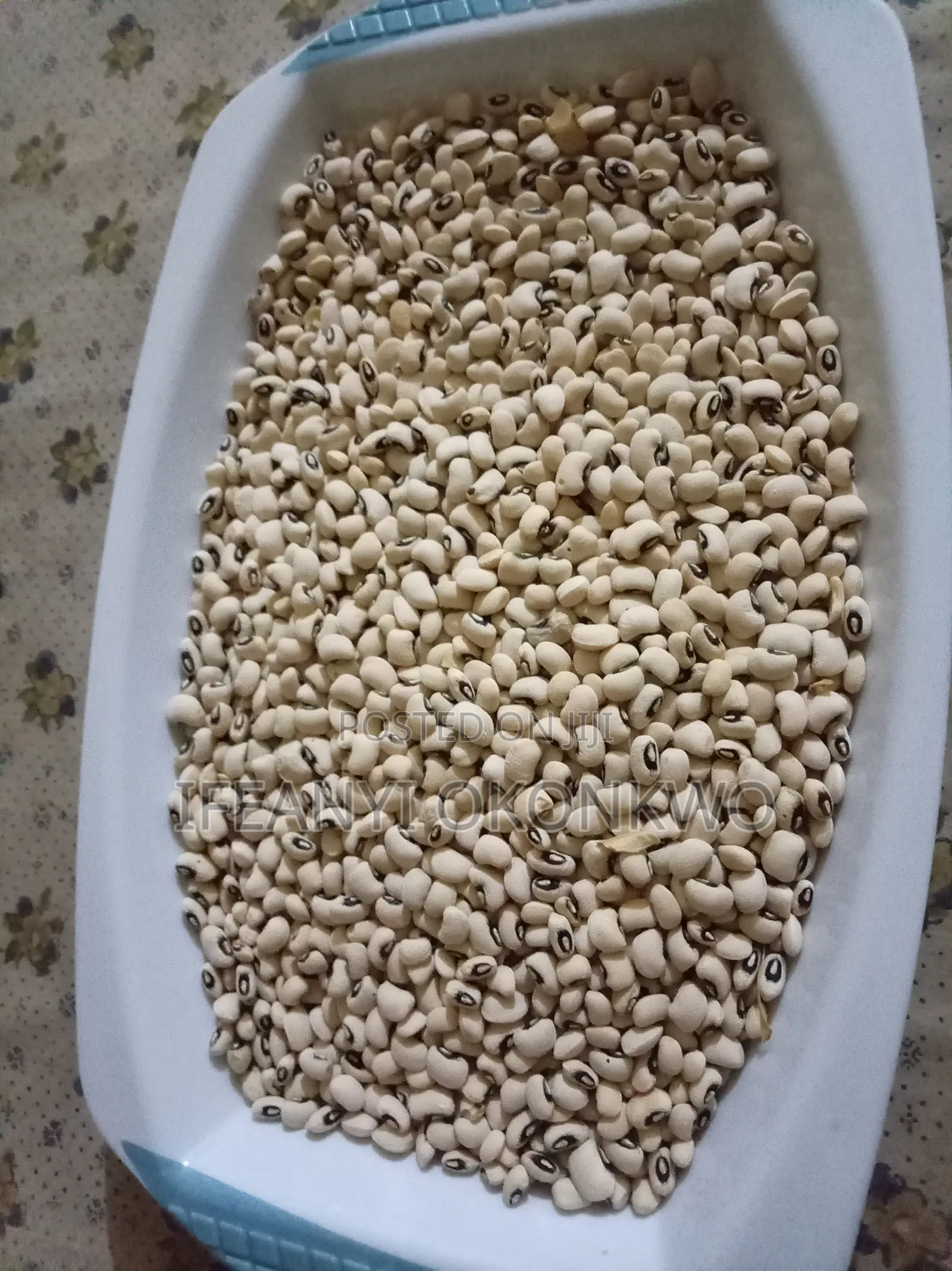 Iron Beans