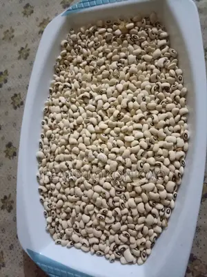 Iron Beans