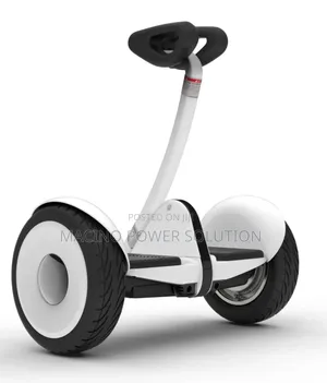 Electric Self Balancing Scooter With Two Wheels
