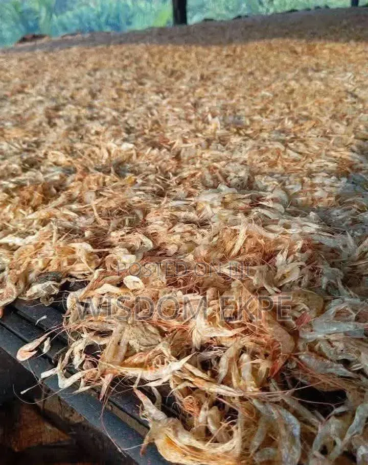 Oron Crayfish