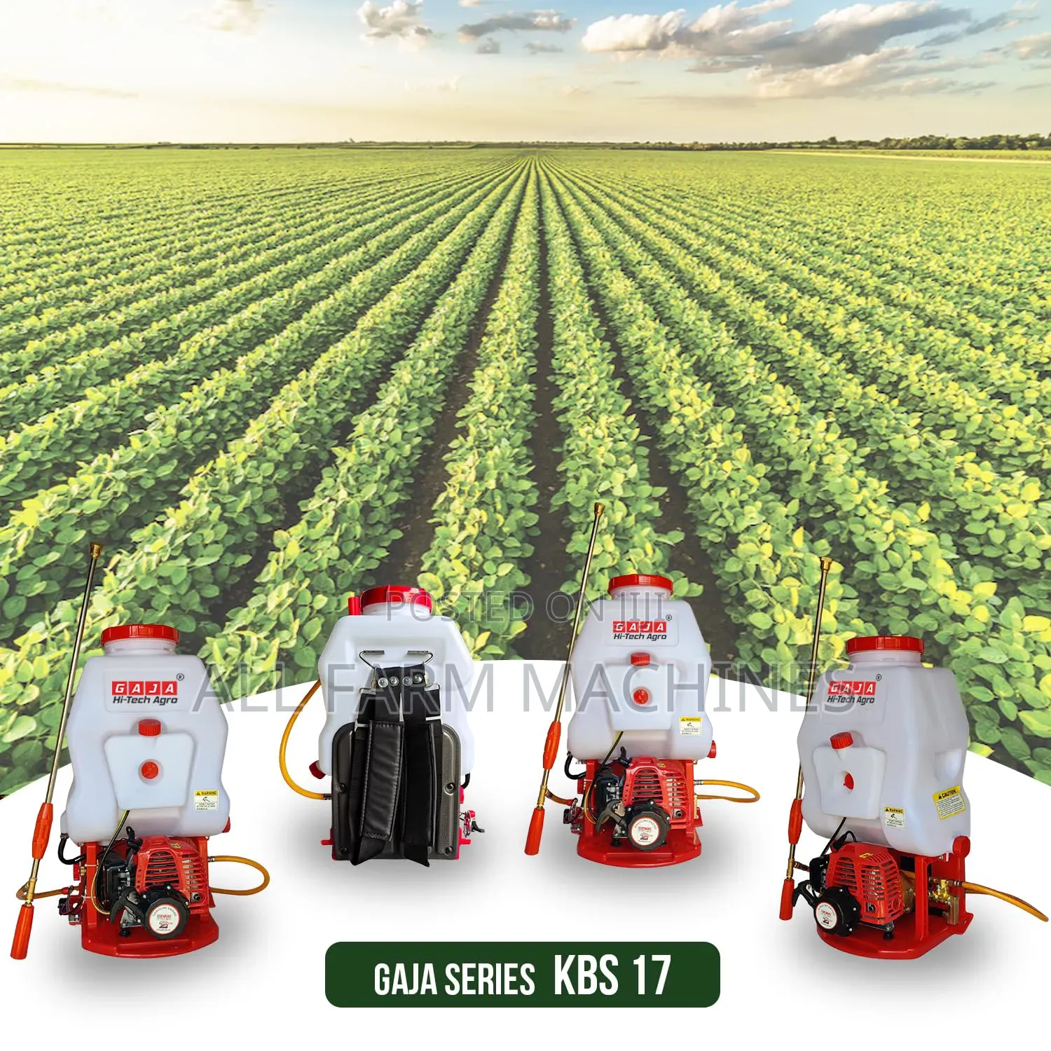 Motorize Sprayer 4 Stroke 25l