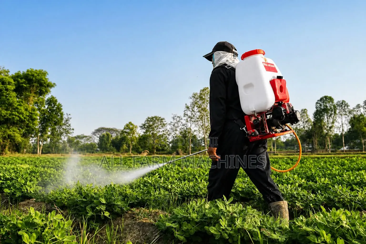 Motorize Sprayer 4 Stroke 25l