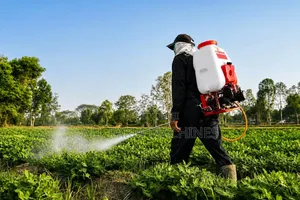 Motorize Sprayer 4 Stroke 25l