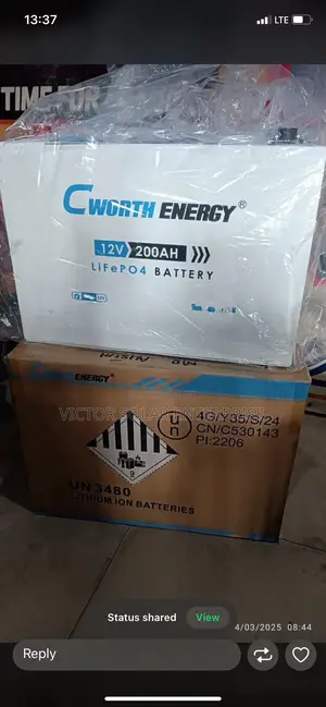 C Worth 200amhs Lithium Battery 12v