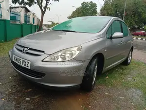Peugeot 307 2008 Gray