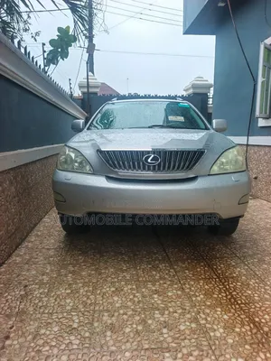 Lexus RX 350 2007 Gray