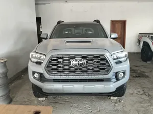 Toyota Tacoma 2020 Gray