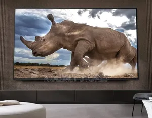 Lg 65 Inch Nanocell Nano80 Smart Tv (2024)