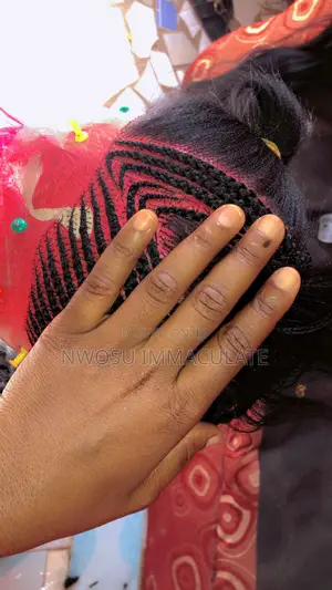 Ventilated Briaded Wig