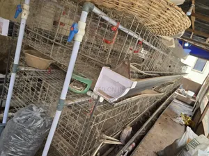 3 Units Broiler Battery Cage for Sale