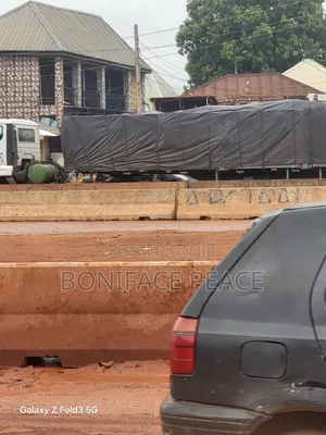 Dangote and Bua Cement