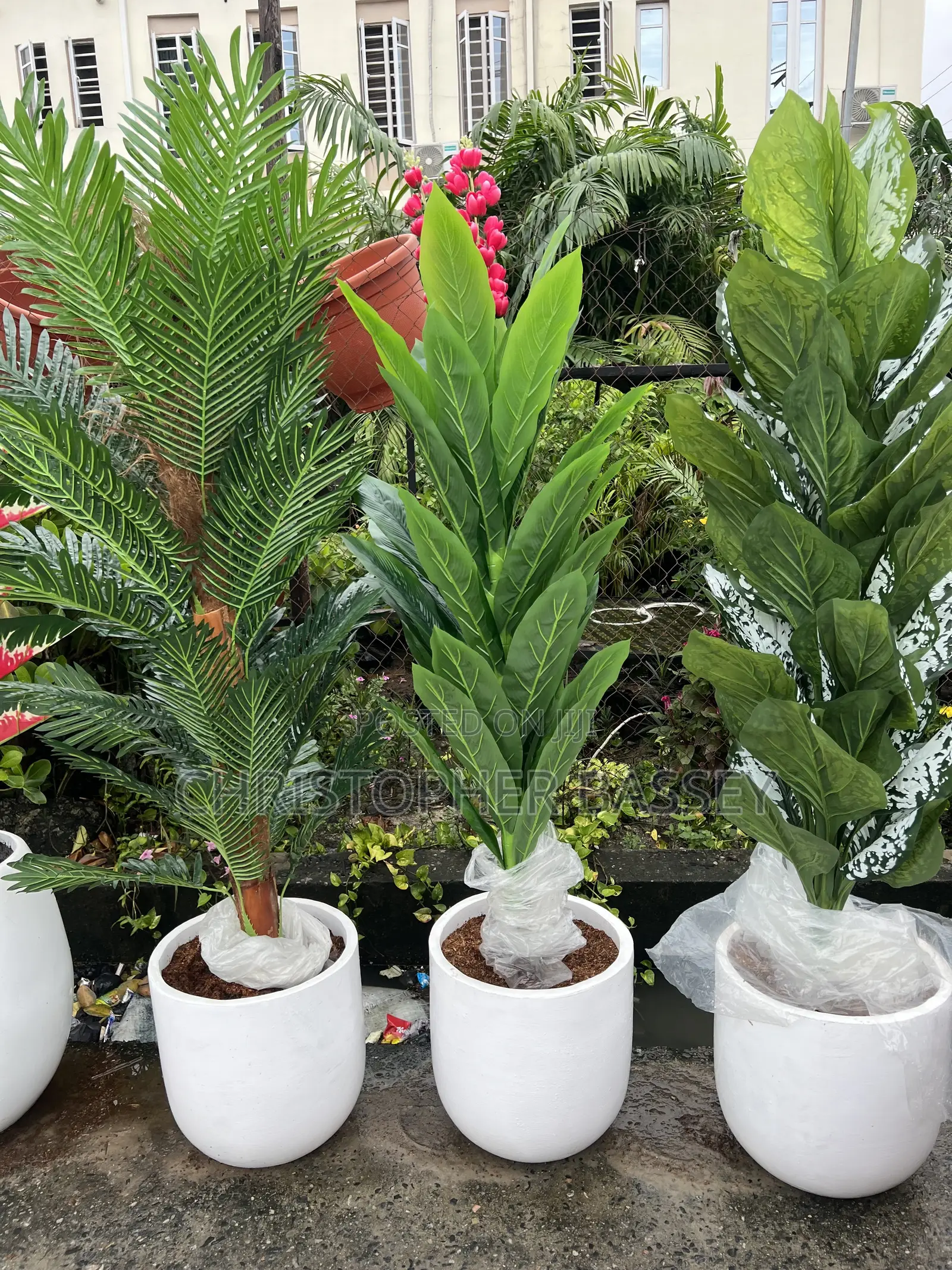 Artificial Plants