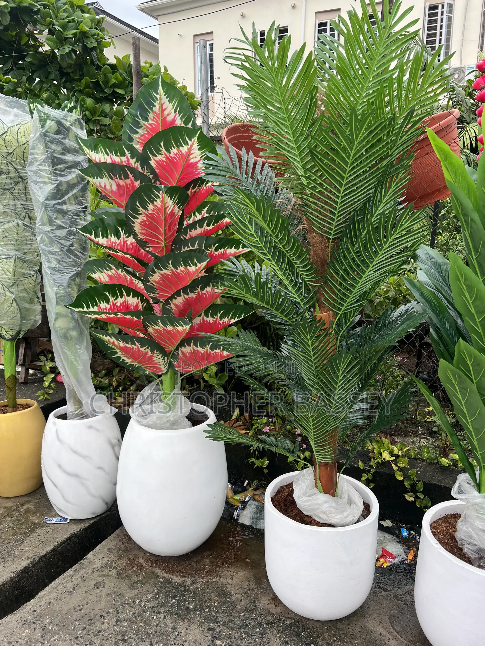 Artificial Plants