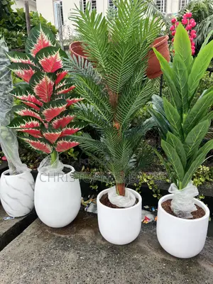 Artificial Plants
