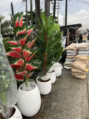 Artificial Plants