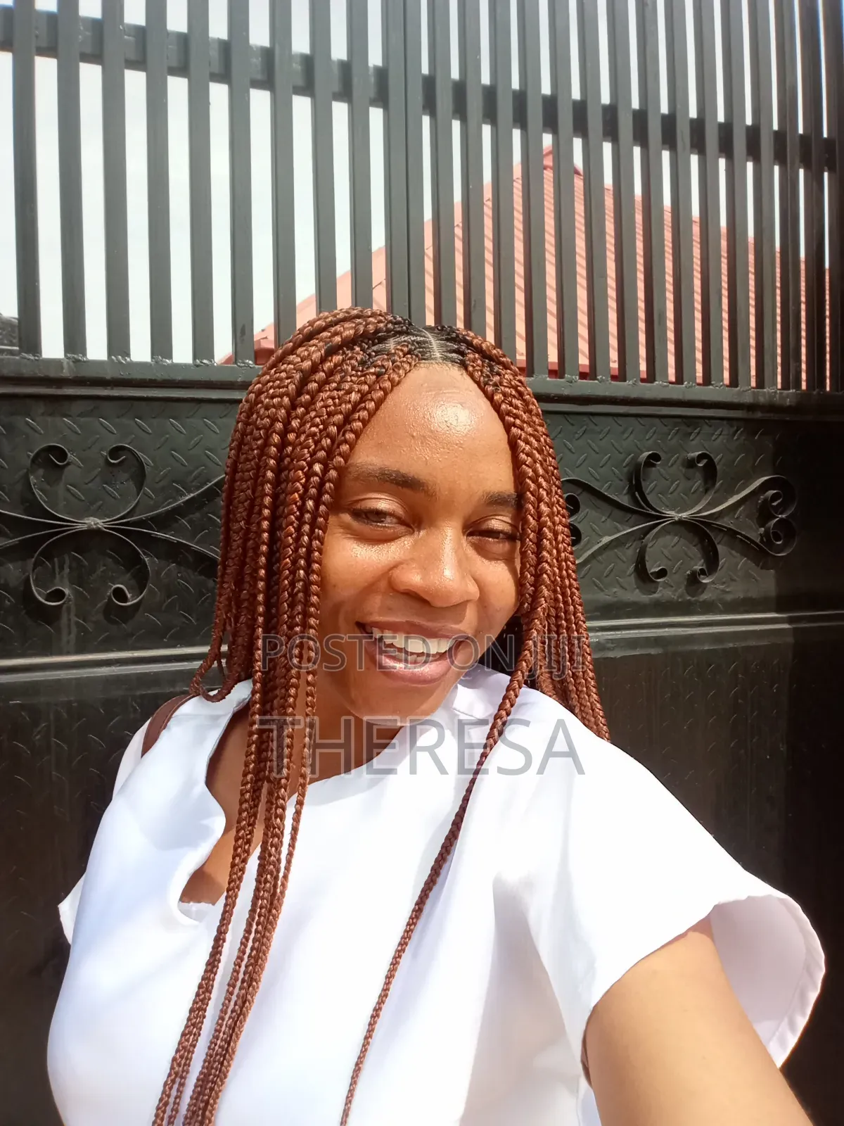 Brown Braids Wig