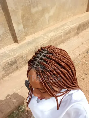 Brown Braids Wig