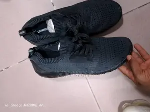 Stock Canvas