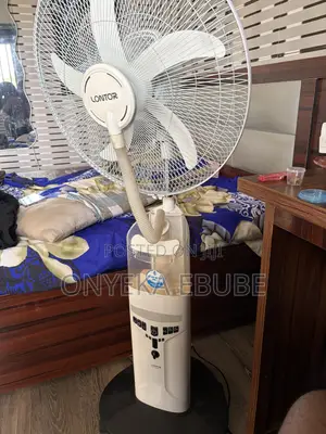 Standing Fan