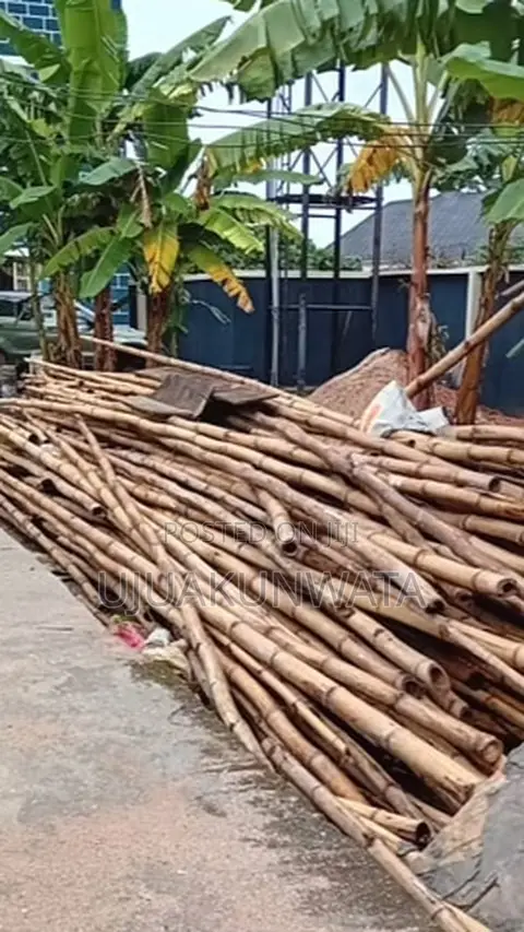 Bamboo Sticks