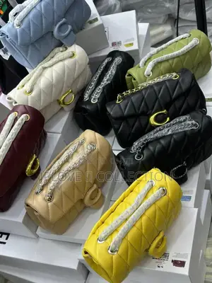 Coach Luxury Bag