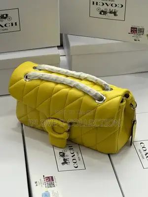 Coach Luxury Bag