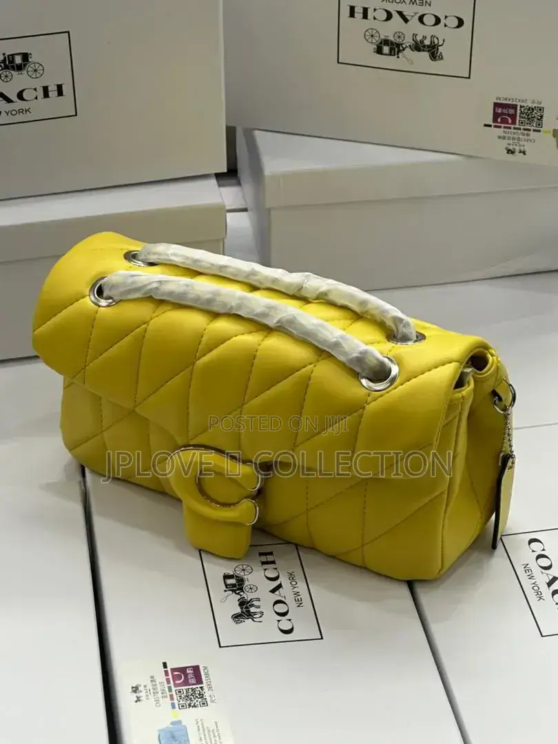 Coach Luxury Bag