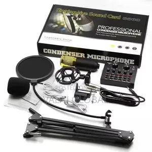 Condenser Microphone