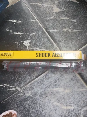 Ford Edge 08 Shock Absober
